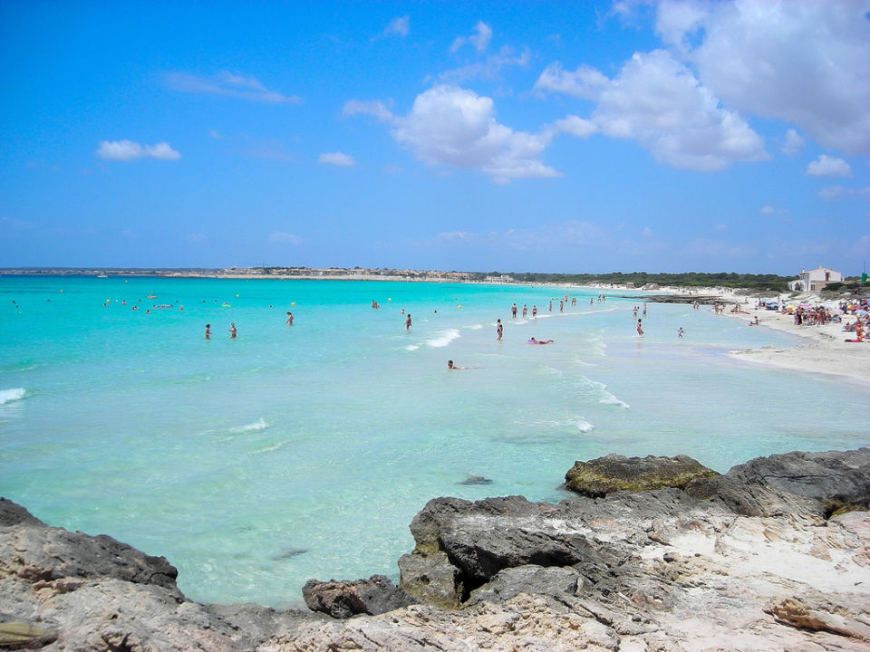 d37199d2-b69c-44fa-8ce8-9babdbcb0cca